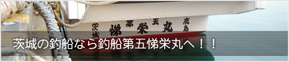 茨城の釣船・釣舟なら第五悌栄丸へ